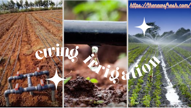 Ewing Irrigation: Revolutionizing Water Management for Landscapes